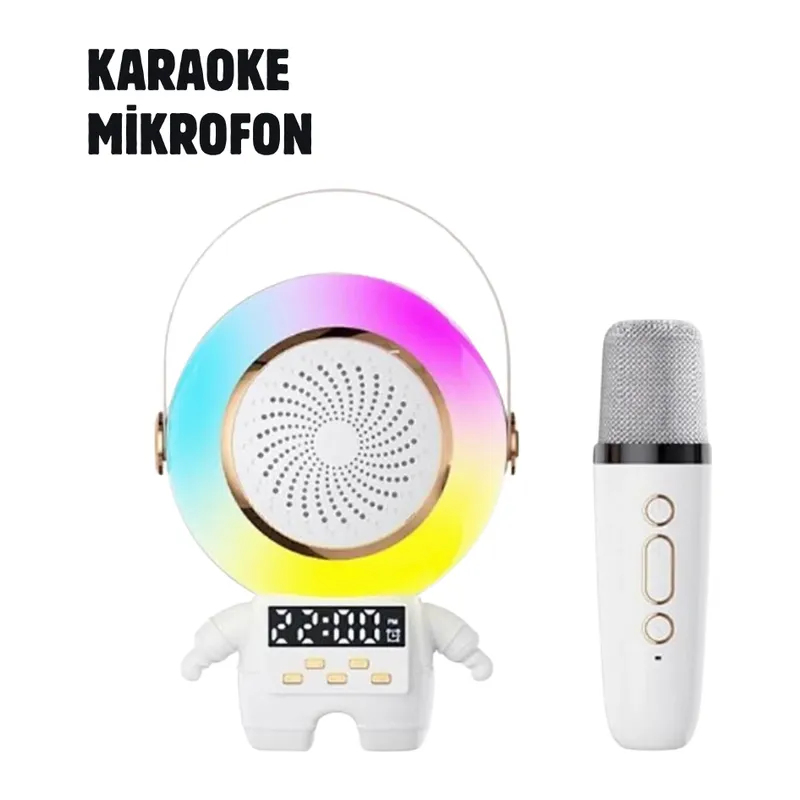 TK-66 Karaoke Speaker