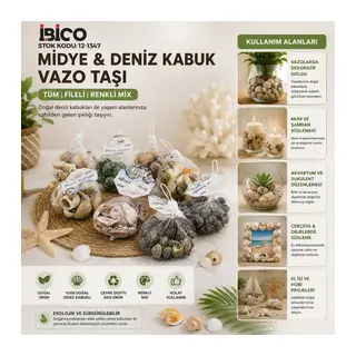 20 Adet Fileli Renkli Mix Eko Midye - Deniz Kabuk Vazo Taşı