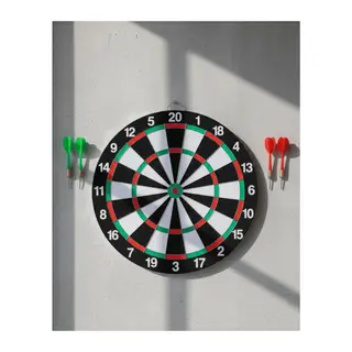 Ev ve Oyun Alanları İçin Dart Tahtası 12 İnç 4 Dart Oku Dahil