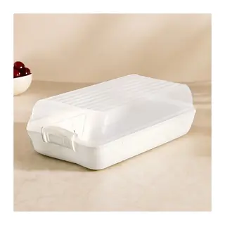 Şeffaf Kapaklı Buzdolabı Organizeri 320x183x103 mm