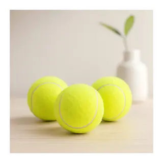 Tenis kort topu
