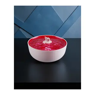Z5 Arktik Okyanus Temalı Bt Kablosuz Hoparlör - Pembe