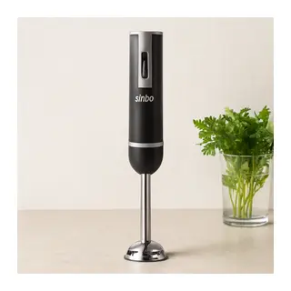300W Çubuk Blender - Çelik Uçlu, 2 Hızlı Ayrılabilir Gövde
