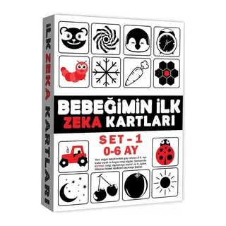 2199 Eğitici Kartlar 0-6 Ay Zeka Kartları
