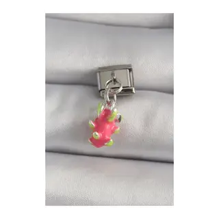 316L Çelik Gümüş Renk Sallantı Ejder Meyvesi Model Nomination Charm