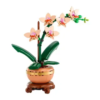 Botanicals Mini Orkide 10343