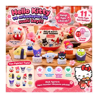 1020542 3D FİGÜR H.KITTY AND FRIENDS SUSHI SÜRPRİZ PAKET HKTY 3R 3 (adet fiyatıdır)