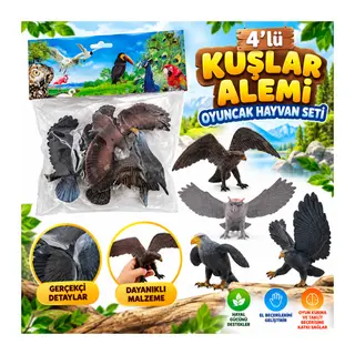 DMN058-4 4LÜ Kuşlar Alemi Oyuncak Hayvan Seti