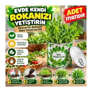 Evde Konservede İri Yapraklı Roka Yetiştirme Kiti (adet fiyatıdır)