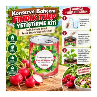 Konserve Bahçem Evde Konservede Fındık Turp Yetiştirme Kiti