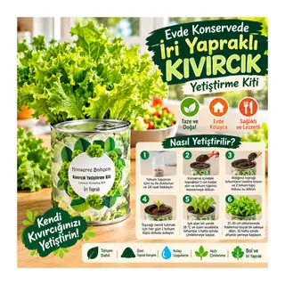 Konserve Bahçem Evde Konservede İri Yapraklı Kıvırcık Yetiştirme Kiti