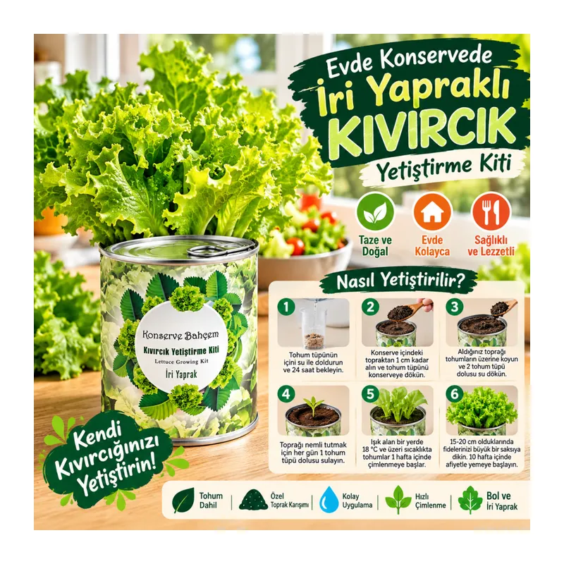 Konserve Bahçem Evde Konservede İri Yapraklı Kıvırcık Yetiştirme Kiti