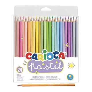 Pastel Renkli Kuru Boya Kalemi 24'lü