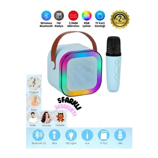 FP-K12 Karaoke Wireless Speaker