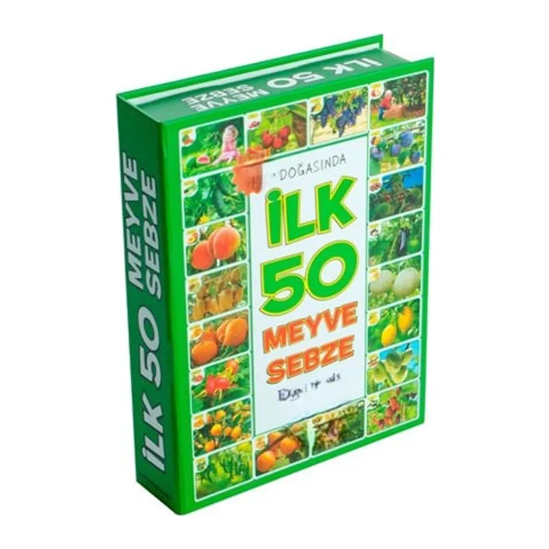 1420 İlk 50 Meyve Sebze