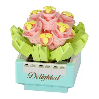 Saksı Çiçekleri Sukulent Serisi 3D Puzzle