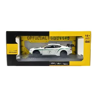 1/24 GT3 Model Araba