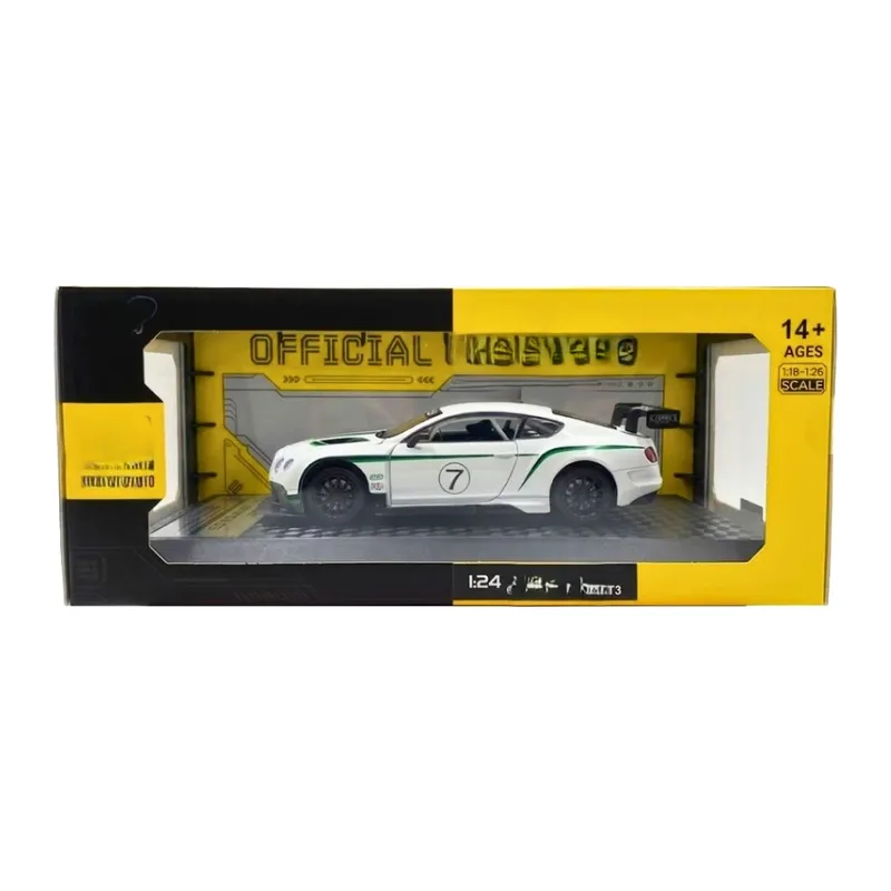 1/24 GT3 Model Araba