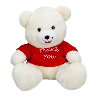 1506 T-Shirtlü Oturan Peluş Ayı 60 cm -Sunman