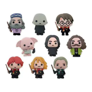 Harry Potter Wizard 3D Sürpriz Figür Paketi