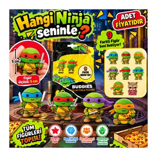1020345 3D FİGÜR N TURTLES BUDDIES SÜRPRİZ PAKET NINJ 36D (adet fiyatıdır)