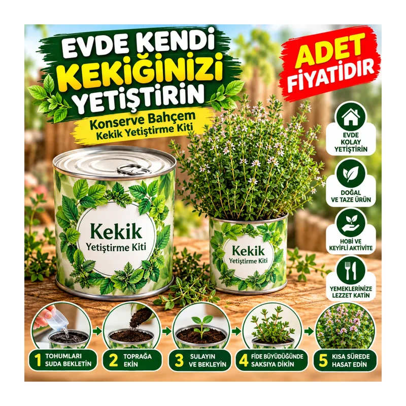 Evde Konservede Kekik Dağ Kekiği Yetiştirme Kiti (adet fiyatıdır)