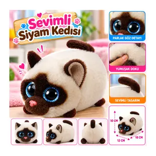 Siamese Cat