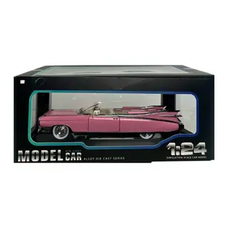 1/24 Model Araba