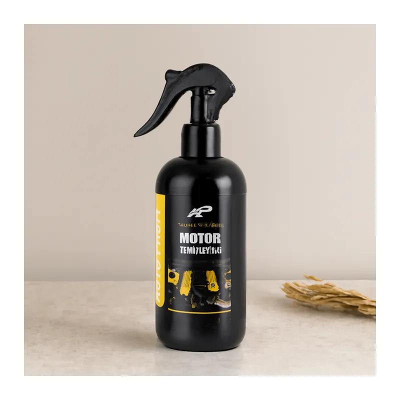 Oto Jant Temizleyici Sprey 400 ml