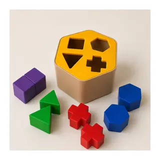 3D Baskı Montessori Şekil Eşleştirme Kutusu - Eğitici Geometrik Zekâ Oyuncağı