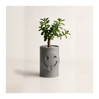 3D Baskı Emoji Planter - Göz Kırpan Yüzlü Sukulent Saksısı-Gri