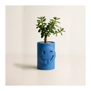 3D Baskı Emoji Planter - Göz Kırpan Yüzlü Sukulent Saksısı-Mavi