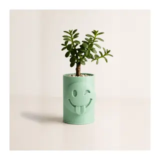 3D Baskı Emoji Planter - Göz Kırpan Yüzlü Sukulent Saksısı-Mint