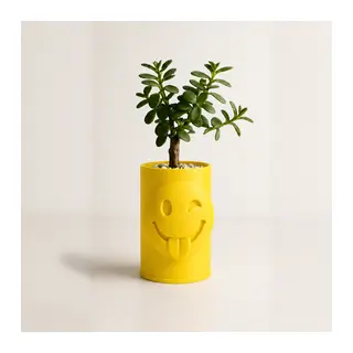 3D Baskı Emoji Planter - Göz Kırpan Yüzlü Sukulent Saksısı-Sarı