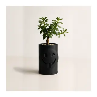 3D Baskı Emoji Planter - Göz Kırpan Yüzlü Sukulent Saksısı-Siyah