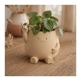 3D Baskı Smiley Face Planter - Gülümseyen Karakterli Saksı-Bej