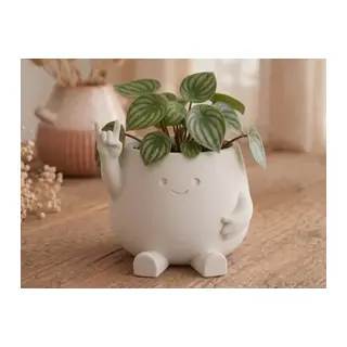 3D Baskı Smiley Face Planter - Gülümseyen Karakterli Saksı-Beyaz