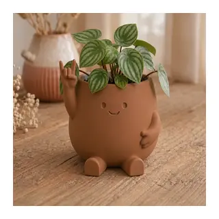 3D Baskı Smiley Face Planter - Gülümseyen Karakterli Saksı-Kahverengi
