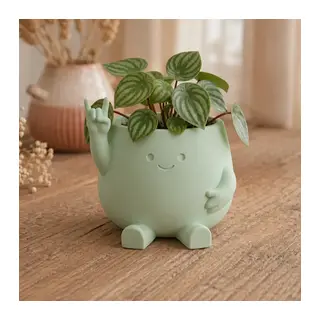 3D Baskı Smiley Face Planter - Gülümseyen Karakterli Saksı-Mint