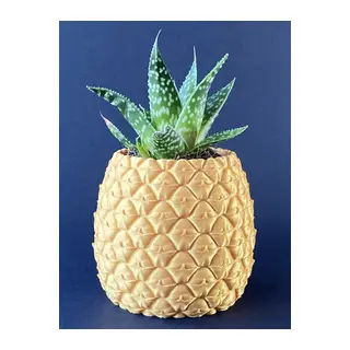 3D Baskı Ananas Formlu Saksı ve Kalemlik Kabartma Dokulu Sukulent Saksısı Masaüstü Bitki ve Kalem Tutucu