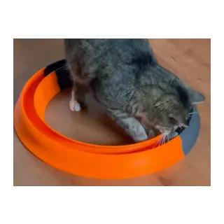 3D Baskı Kediler İçin Halka Şeklinde Toplu Parkur Oyuncağı Yuvarlak Toplu Kedi Oyuncağı Turuncu