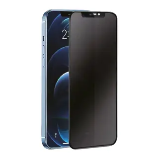 Samsung Galaxy S24 Plus 3D Antistatik Hayalet Cam Ekran Koruyucu