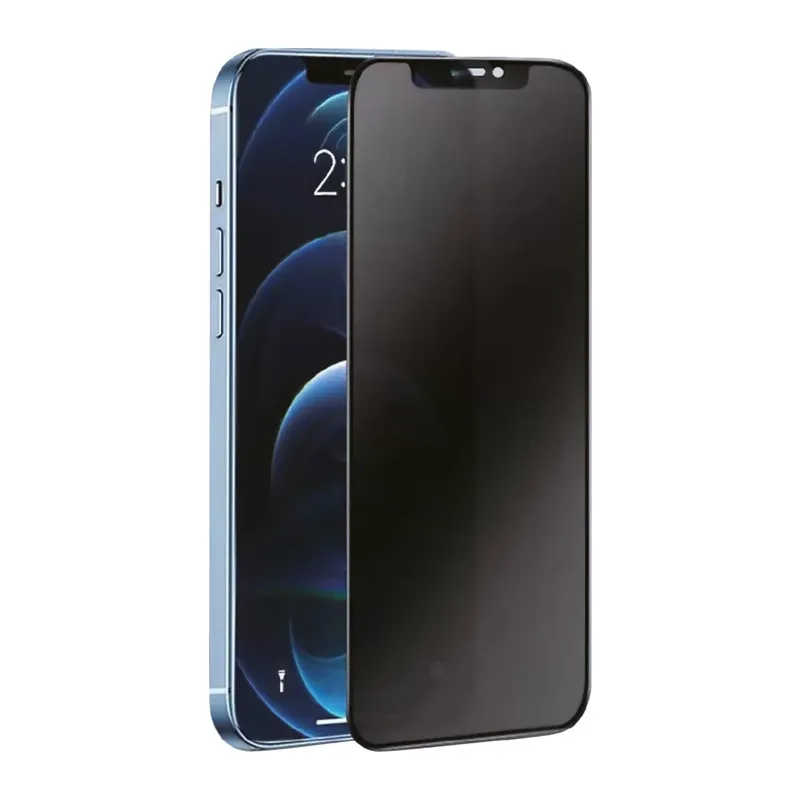 Samsung Galaxy S24 Plus 3D Antistatik Hayalet Cam Ekran Koruyucu