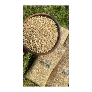 ESDUR AŞURELİK BUĞDAY 1 KG