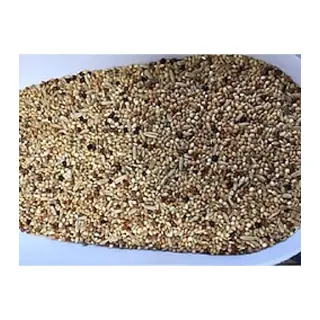 SUDE LİFE MUHABET KUŞU YEMİ 800 GR