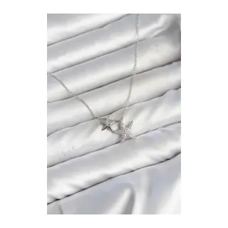 Pirinç Gümüş Renk Minimal Yıldız Model Kadın Kolye