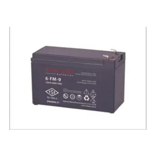 12V 9AH TAM BAKIMSIZ KURU AKÜ