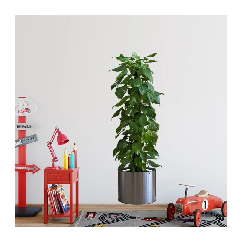 Saksılı Bitki Tasarımlı Yapışkanlı Sticker Resim 90*30 cm MC-665