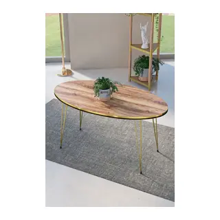 Orta Sehpa Elips Çift Gold Ceviz Tel Ayak