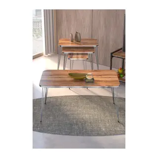 Gümüş Tel 4'lü Sehpa Seti Ceviz